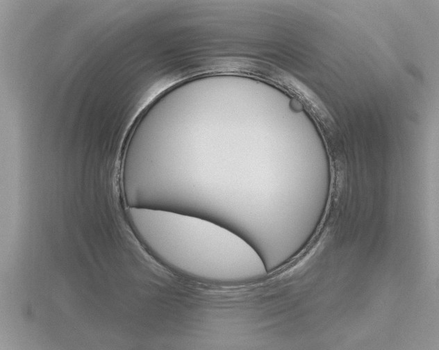 X0000116481178200912090920