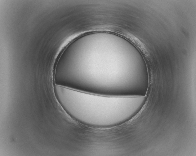 X0000116481184200912090920