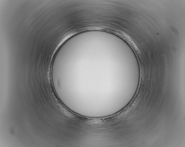 X0000116481186200912090920