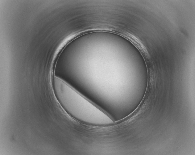 X0000116481188200912090920