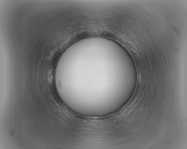 X0000116481204200912090920
