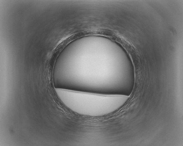 X0000116481206200912090920