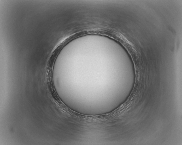 X0000116481208200912090920