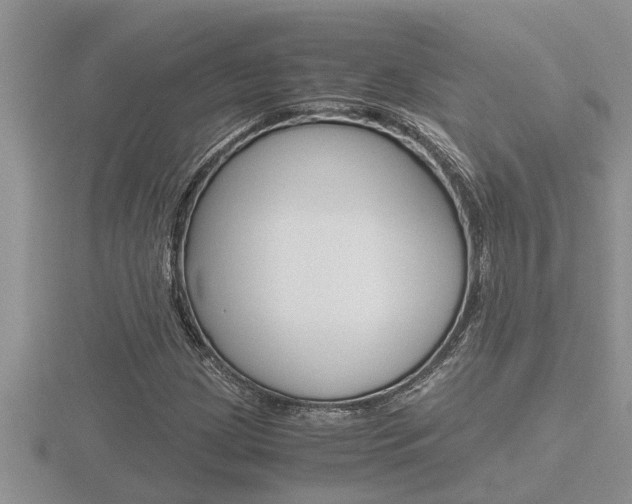 X0000116481209200912090920