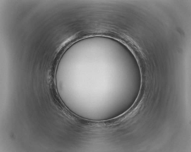X0000116481210200912090920