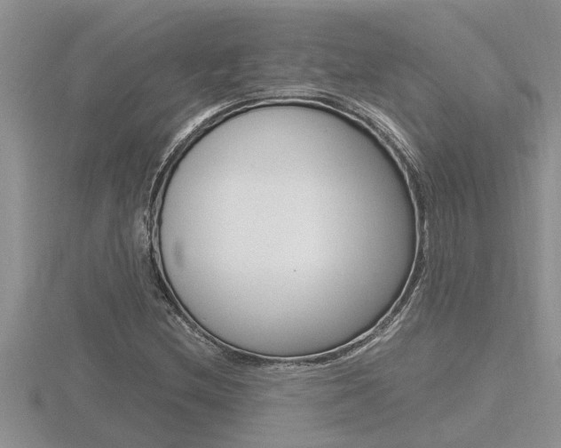 X0000116481212200912090920