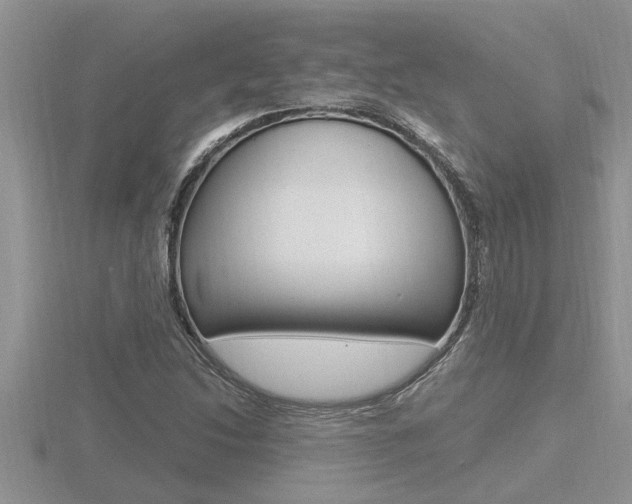 X0000116481214200912090920