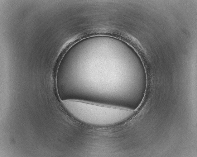 X0000116481218200912090920