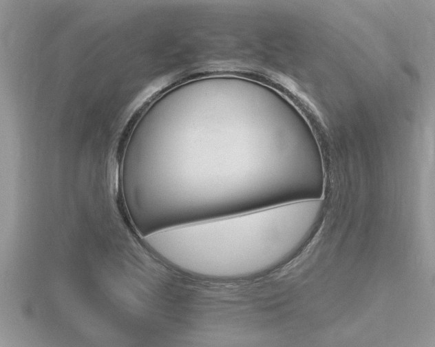 X0000116481221200912090920