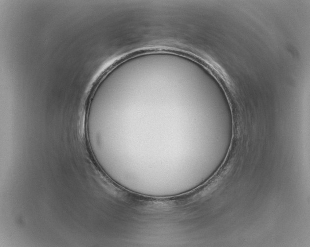 X0000116481224200912090920