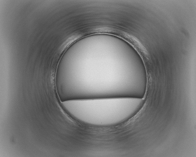 X0000116481225200912090920