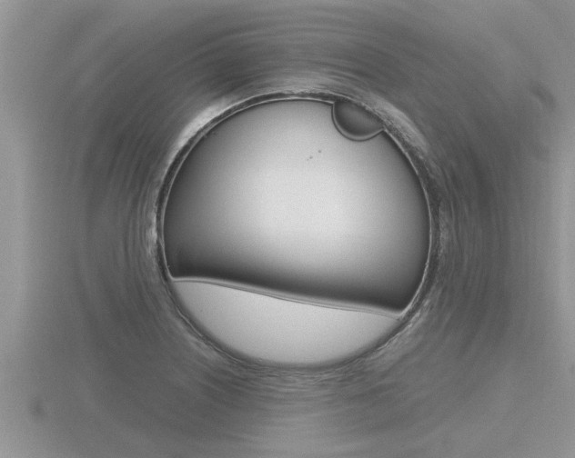 X0000116481226200912090920