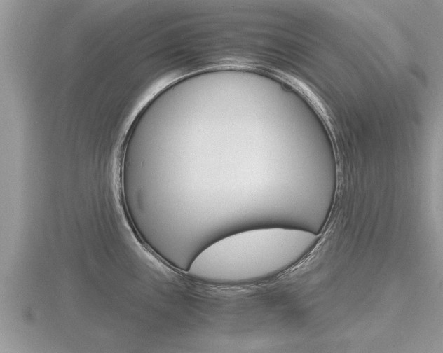 X0000116481243200912090920
