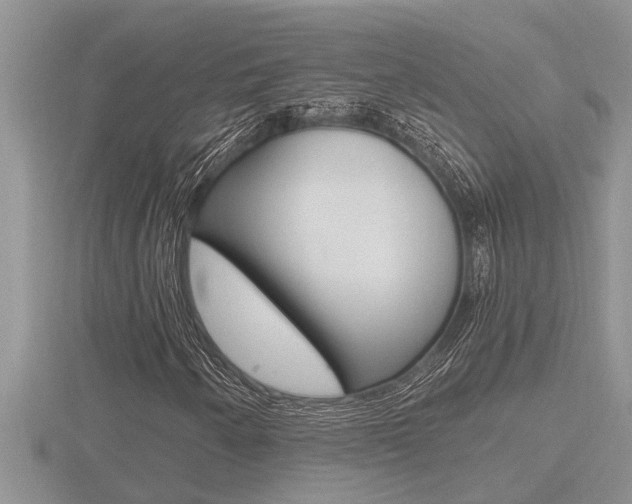 X0000116481250200912090919