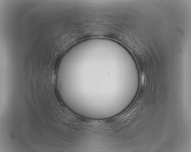X0000116481251200912090919