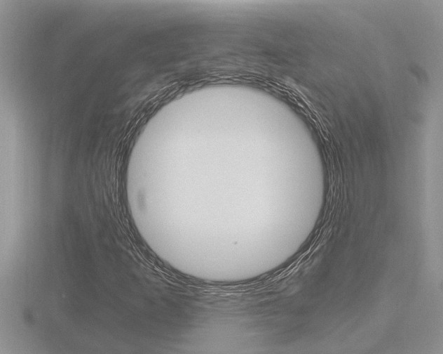 X0000116481253200912090919