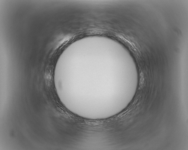 X0000116481254200912090919