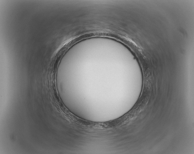X0000116481255200912090919