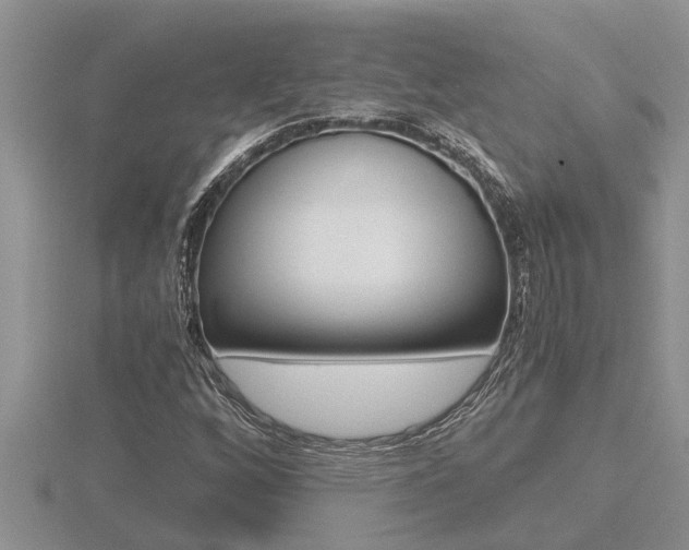 X0000116481256200912090919