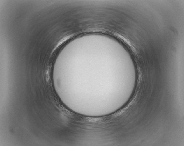 X0000116481258200912090919