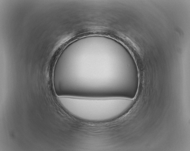 X0000116481261200912090919