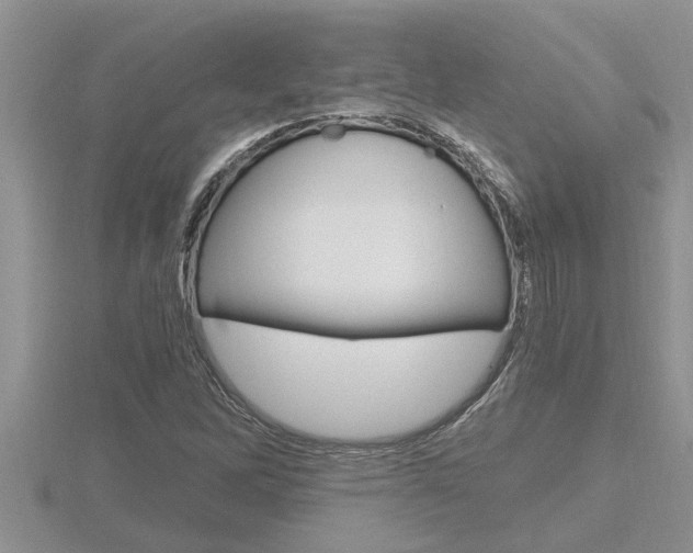 X0000116481262200912090919