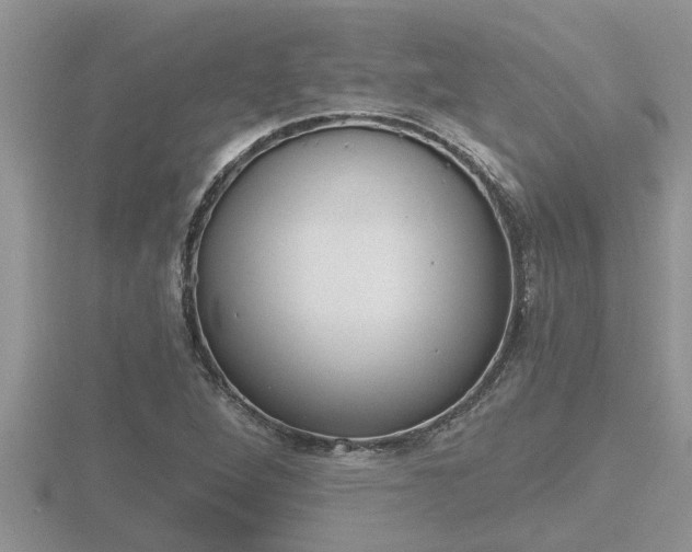 X0000116481264200912090919