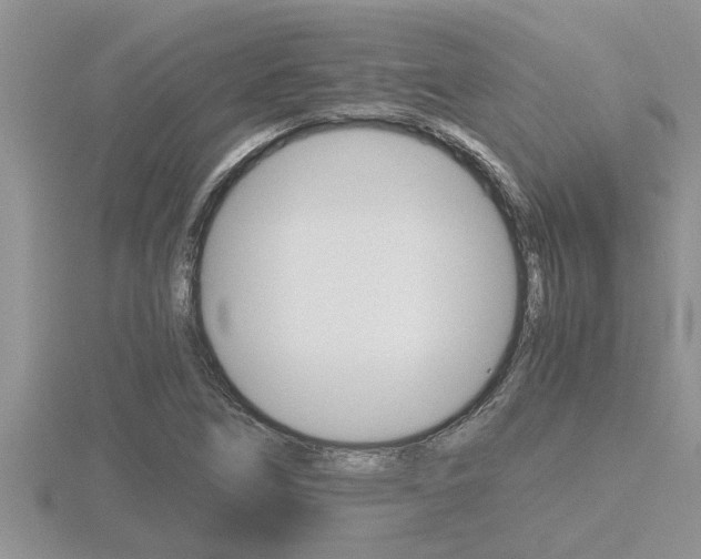 X0000116481266200912090919