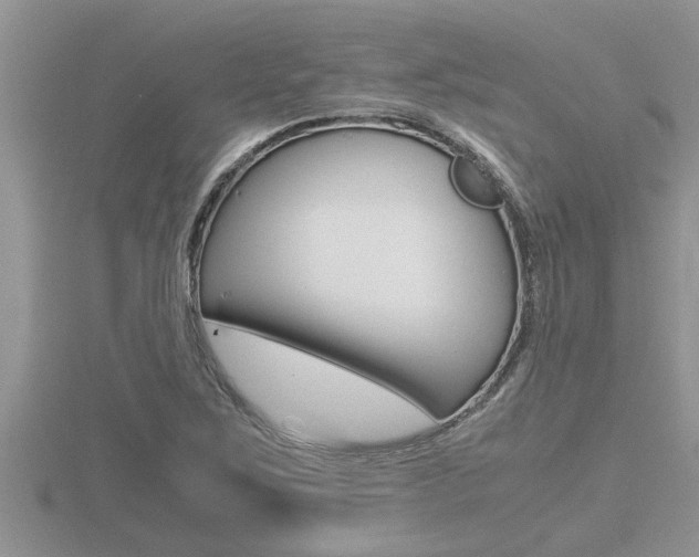 X0000116481267200912090919