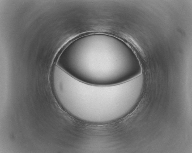 X0000116481268200912090919