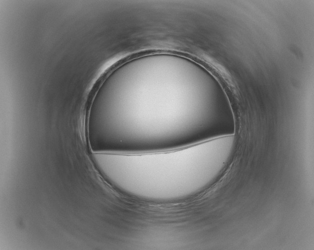 X0000116481272200912090919