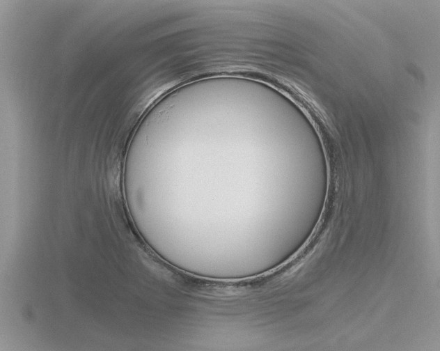 X0000116481273200912090919