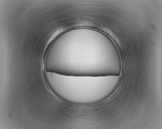 X0000116481274200912090919