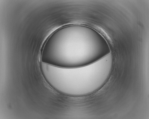 X0000116481276200912090919