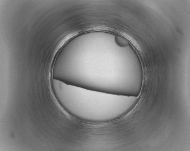 X0000116481282200912090919