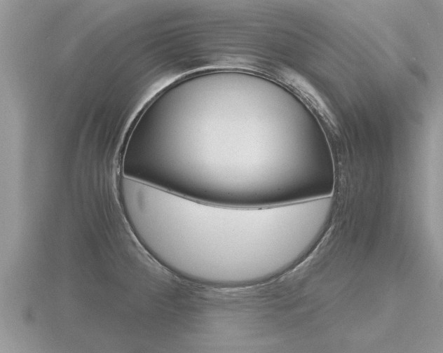 X0000116481284200912090919