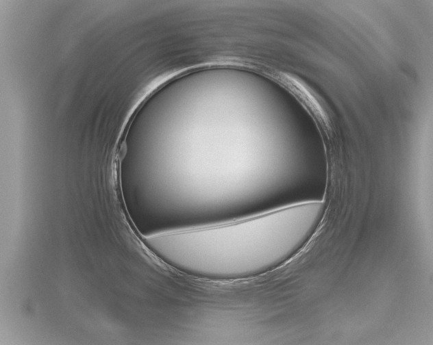 X0000116481292200912090919