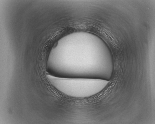 X0000116481297200912090918