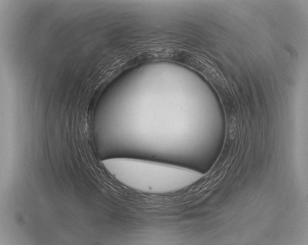 X0000116481298200912090918