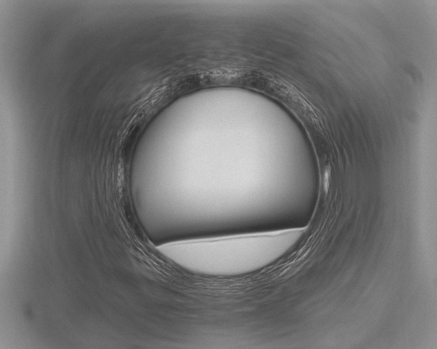 X0000116481299200912090918