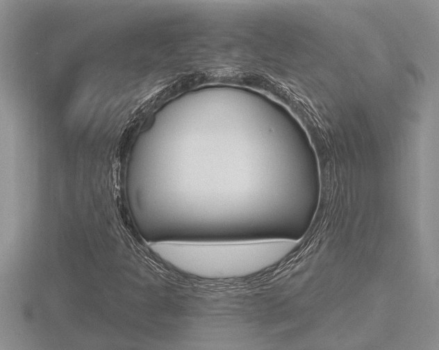 X0000116481301200912090918
