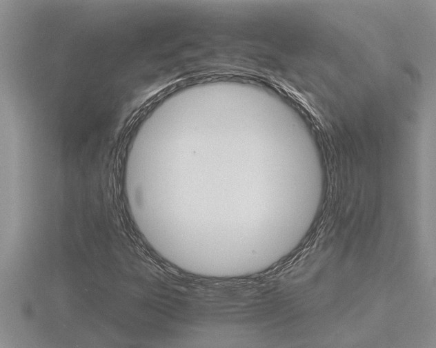 X0000116481303200912090918