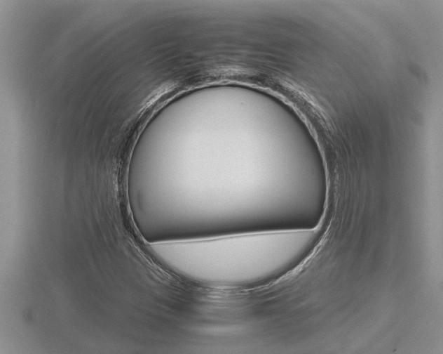 X0000116481305200912090918