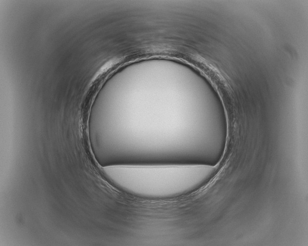 X0000116481306200912090918