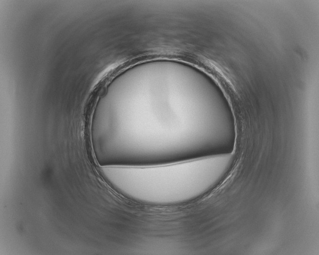X0000116481307200912090918