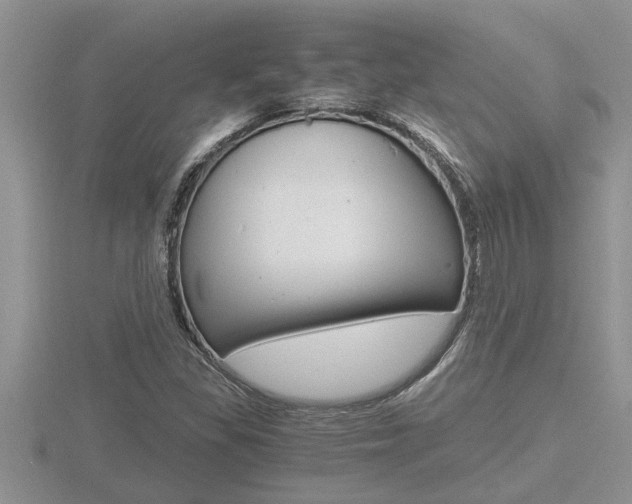 X0000116481309200912090918