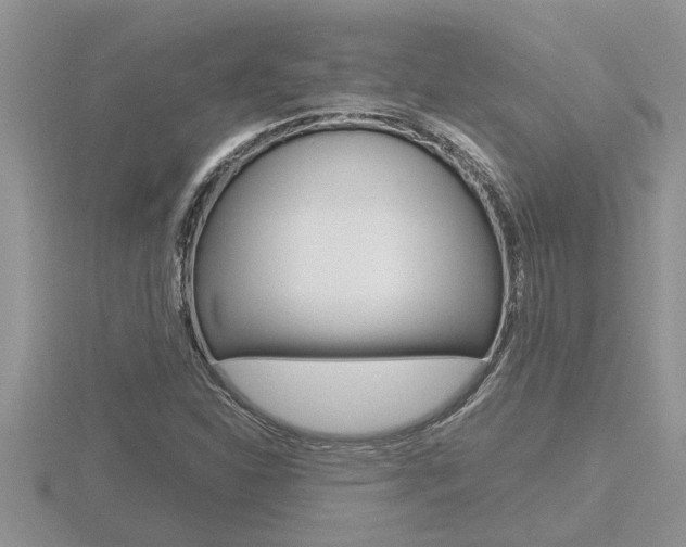 X0000116481310200912090918