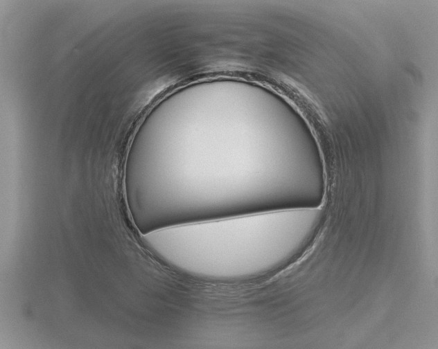X0000116481313200912090918
