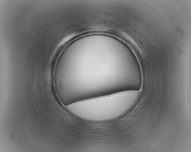 X0000116481315200912090918