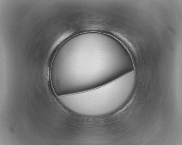 X0000116481317200912090918
